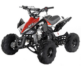 Xmas Pre Order - PANTHER 110cc KIDS QUAD BIKE - MotoX1 Motocross ATV 