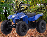 250w Kids Ride On Electric Mini Quad Bike