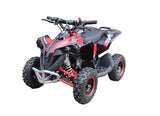 PRE ORDER FEB - Renegade 50cc Kids Mini Petrol Quad Bike - MotoX1 Motocross ATV 